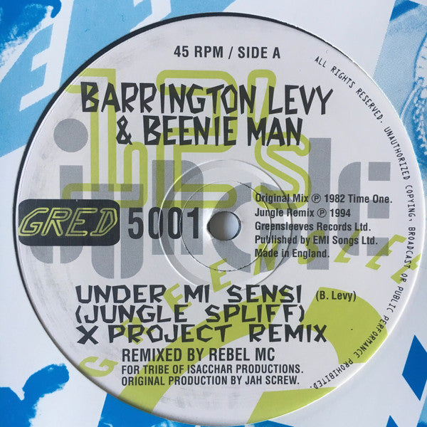 Barrington Levy – Under Mi Sensi