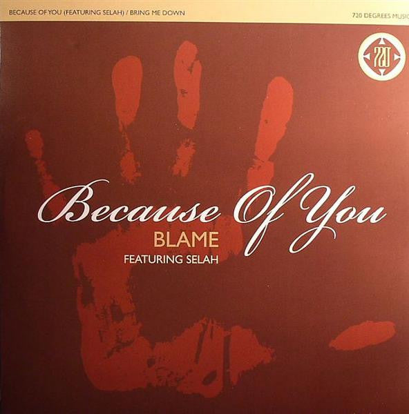 Blame – Because Of You