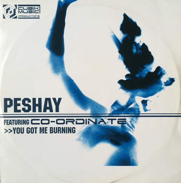 Peshay – You Got Me Burning / Fuzion